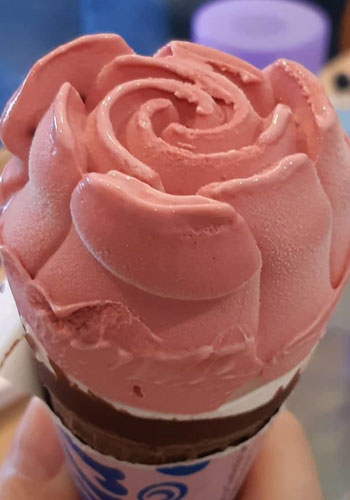 rose icecream