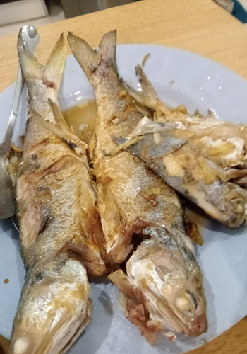 fried fish