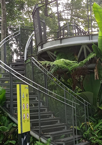 Titiwangsa park tree house